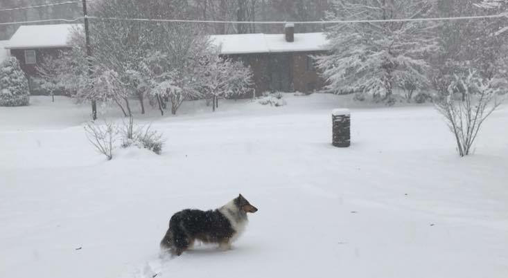 Stacked in Snow